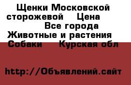 Щенки Московской сторожевой  › Цена ­ 25 000 - Все города Животные и растения » Собаки   . Курская обл.